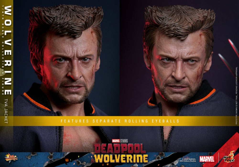 Image Pop Weasel - Image 9 of Deadpool & Wolverine - Wolverine (TVA Jacket) 1:6 Scale Collectable Action Figure - Hot Toys - Statue - Image - Pop Weasel