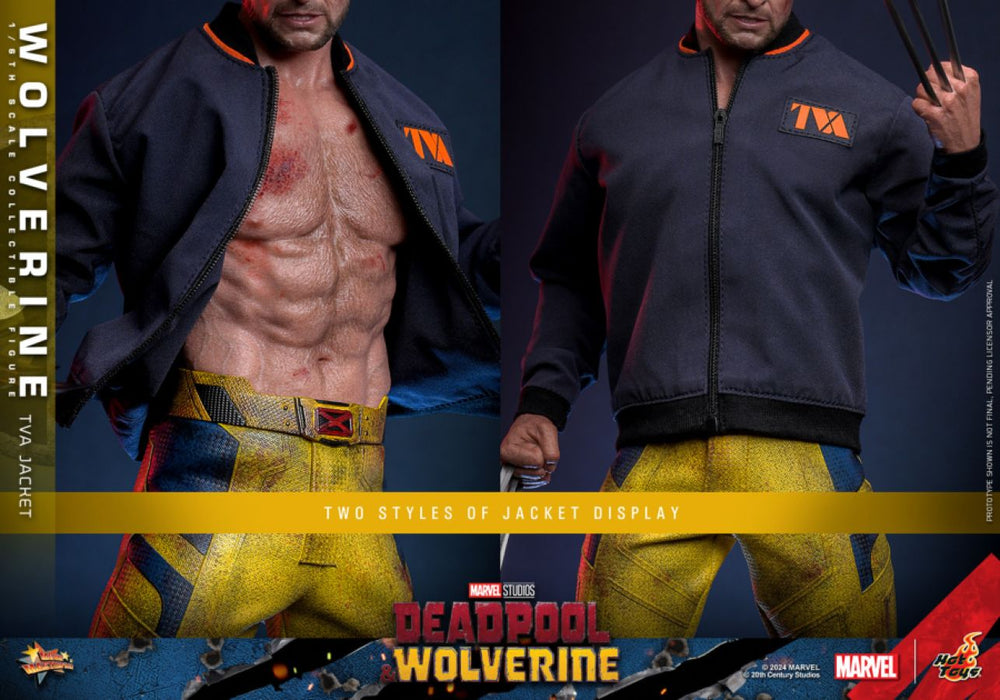 Image Pop Weasel - Image 10 of Deadpool & Wolverine - Wolverine (TVA Jacket) 1:6 Scale Collectable Action Figure - Hot Toys - Statue - Image - Pop Weasel