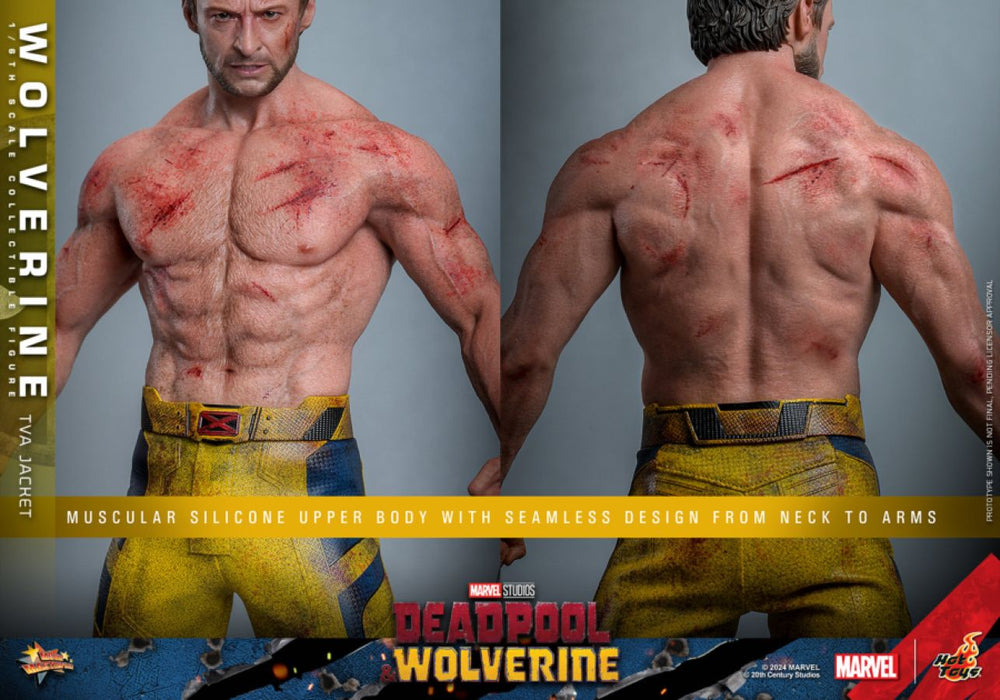 Image Pop Weasel - Image 11 of Deadpool & Wolverine - Wolverine (TVA Jacket) 1:6 Scale Collectable Action Figure - Hot Toys - Statue - Image - Pop Weasel