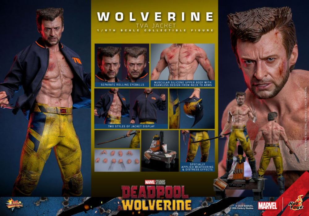 Image Pop Weasel - Image 13 of Deadpool & Wolverine - Wolverine (TVA Jacket) 1:6 Scale Collectable Action Figure - Hot Toys - Statue - Image - Pop Weasel