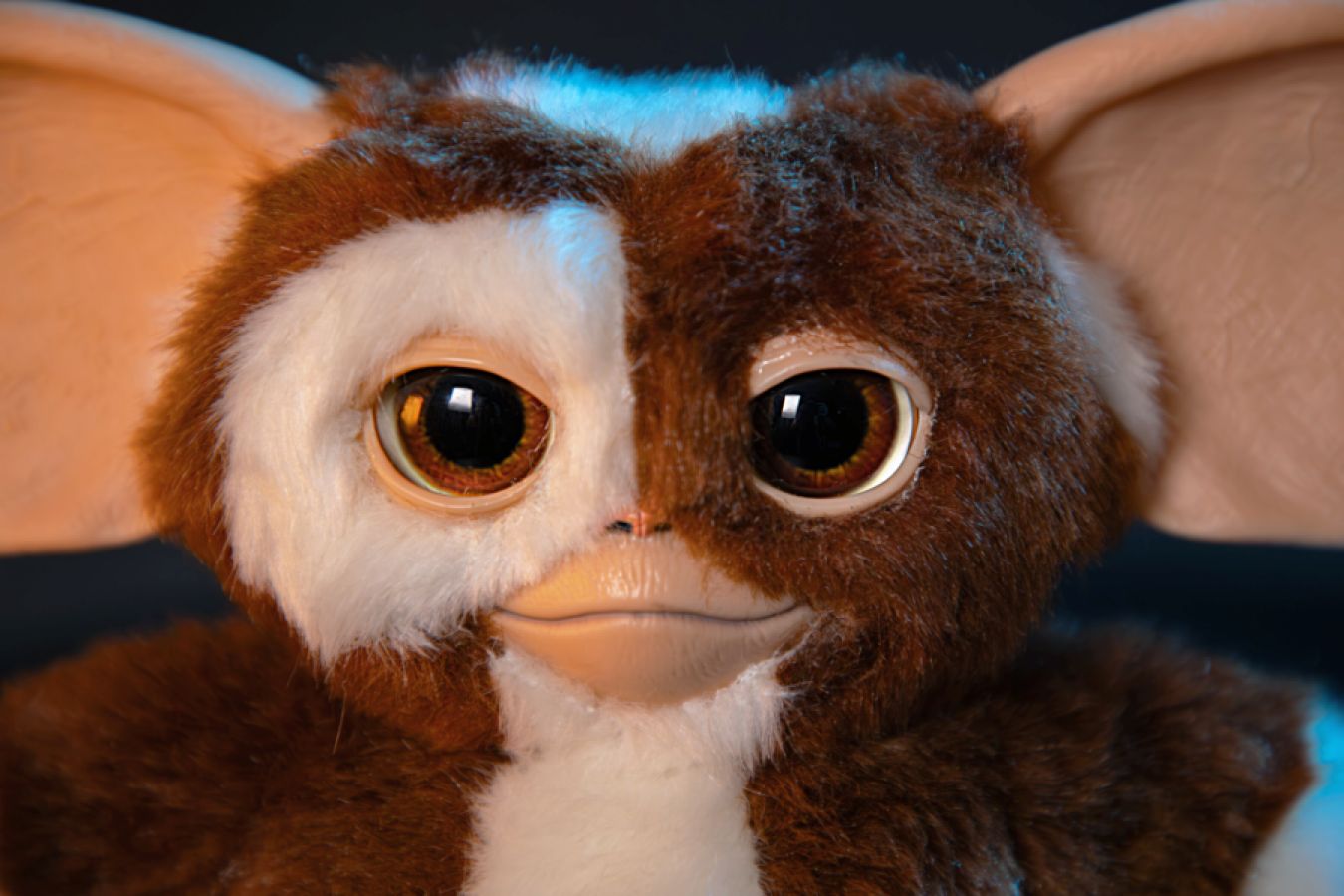 Pop Weasel - Image 3 of Gremlins - Singing & Dancing Replica Gizmo Plush - Ikon Design Studio