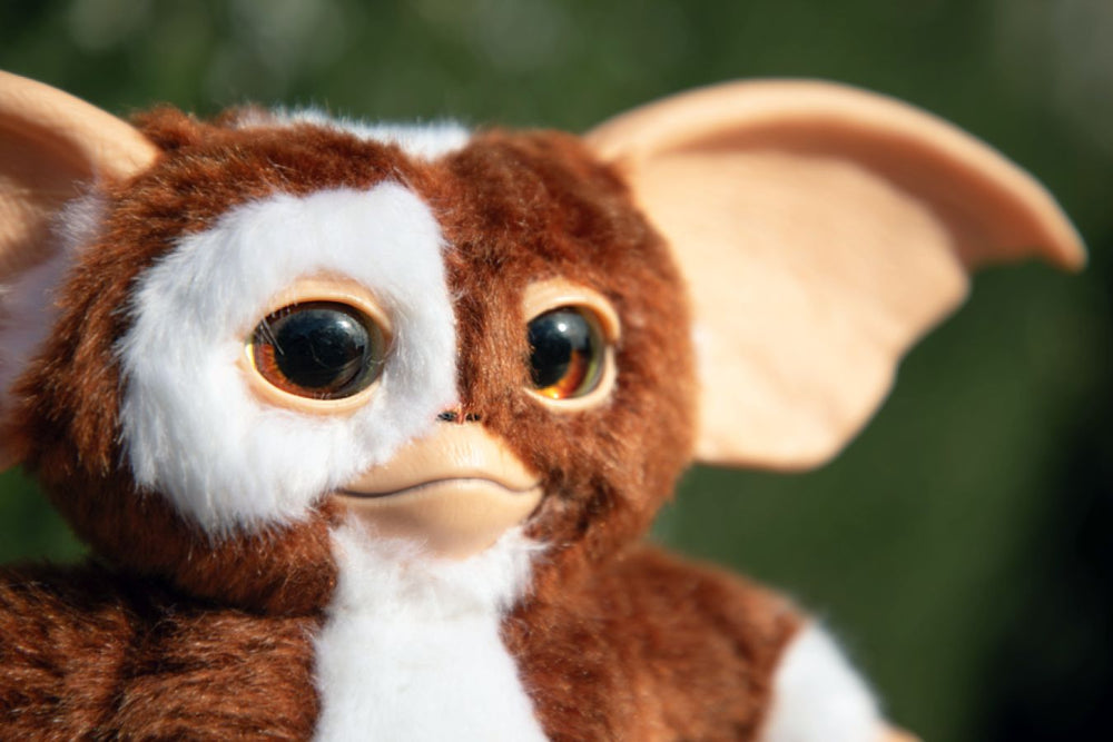 Pop Weasel - Image 9 of Gremlins - Singing & Dancing Replica Gizmo Plush - Ikon Design Studio - Plush - Image - Pop Weasel