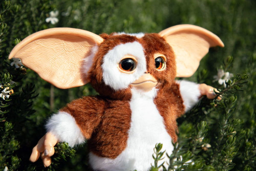 Pop Weasel - Image 10 of Gremlins - Singing & Dancing Replica Gizmo Plush - Ikon Design Studio - Plush - Image - Pop Weasel