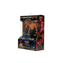 Image Pop Weasel - Image 16 of Street Fighter - Fei Long 6\" Action Figure - Jada Toys