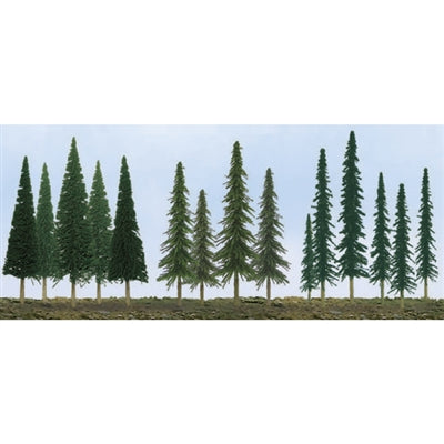 62-150mmPine/Conifer/Spruce(46 - Model - Image - Pop Weasel