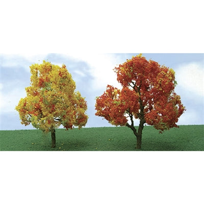 62-113mm Deciduous/Sycamore(20