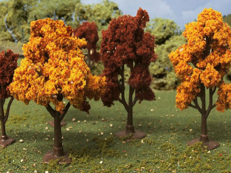 Autumn Deciduous 2- 3&quot;(10)