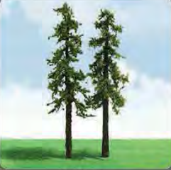 Redwood Trees 70- 89mm (3) - Model - Image - Pop Weasel