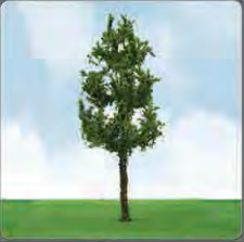 Spruce Trees 70- 89mm (3) - Model - Image - Pop Weasel