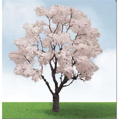 75-85mm Blossom Cherry (2)