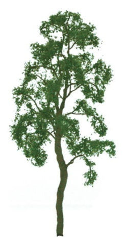 200mm Birch Tree (1)