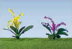 HO: 10mm Flower Plants (30)