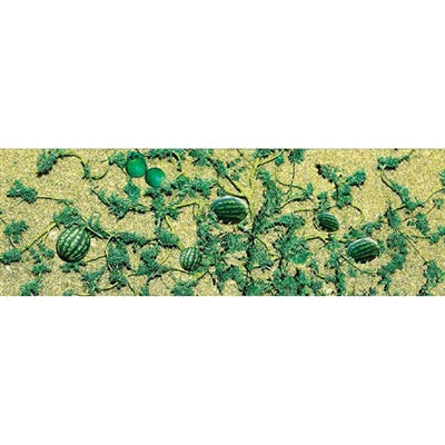 O: Watermelon Patch (6) - Model - Image - Pop Weasel