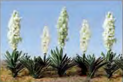 HO: Yucca (20)