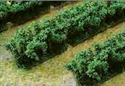 HO: Hedges 19x25x152mm (4)