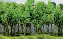 HO: Wood Edge Trees Gren (9)