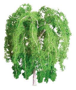 xx140mm Weeping Willow (1) - Model - Image - Pop Weasel