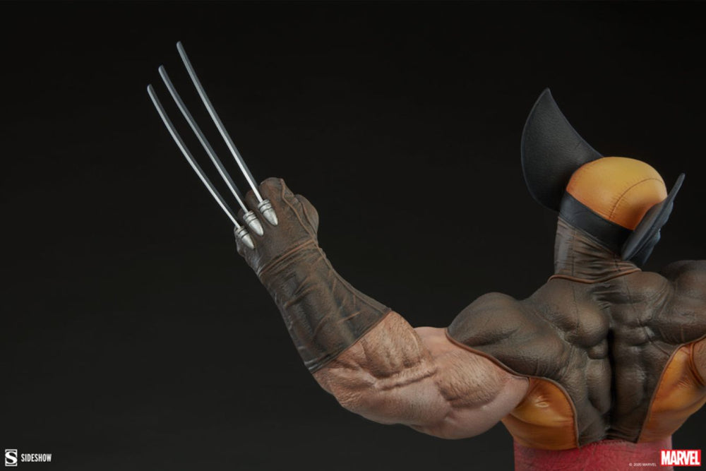 Pop Weasel - Image 5 of Marvel Comics - Wolverine Premium Format Statue - Sideshow Collectibles - Statue - Image - Pop Weasel