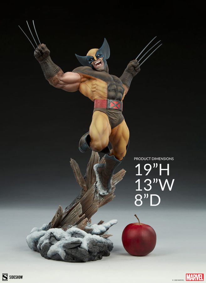 Pop Weasel - Image 7 of Marvel Comics - Wolverine Premium Format Statue - Sideshow Collectibles - Statue - Image - Pop Weasel