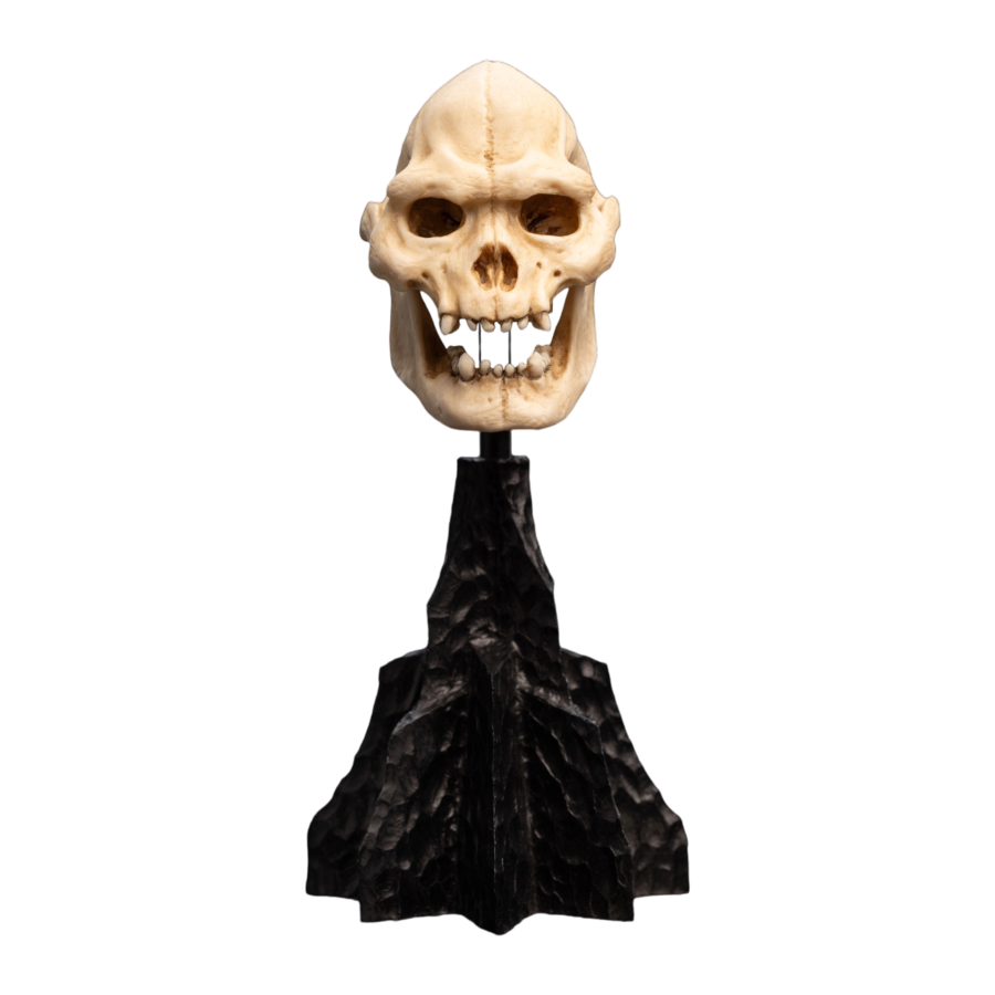 The Lord of the Rings - Skull of Lurtz Miniature Skull - Weta - Statue - Image - Pop Weasel