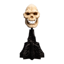 The Lord of the Rings - Skull of Lurtz Miniature Skull - Weta