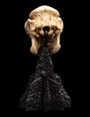 Image Pop Weasel - Image 3 of The Lord of the Rings - Skull of a Cave Troll Miniature Skull - Weta