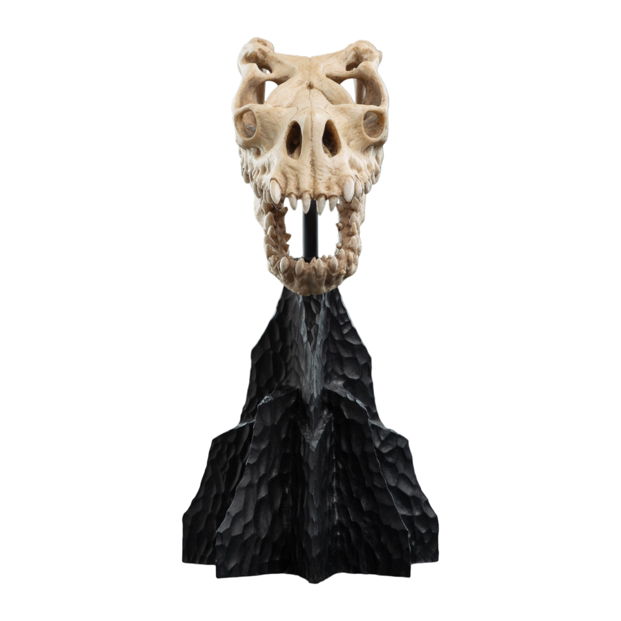 The Lord of the Rings - Skull of a Fell Beast Miniature Skull - Weta - Statue - Image - Pop Weasel