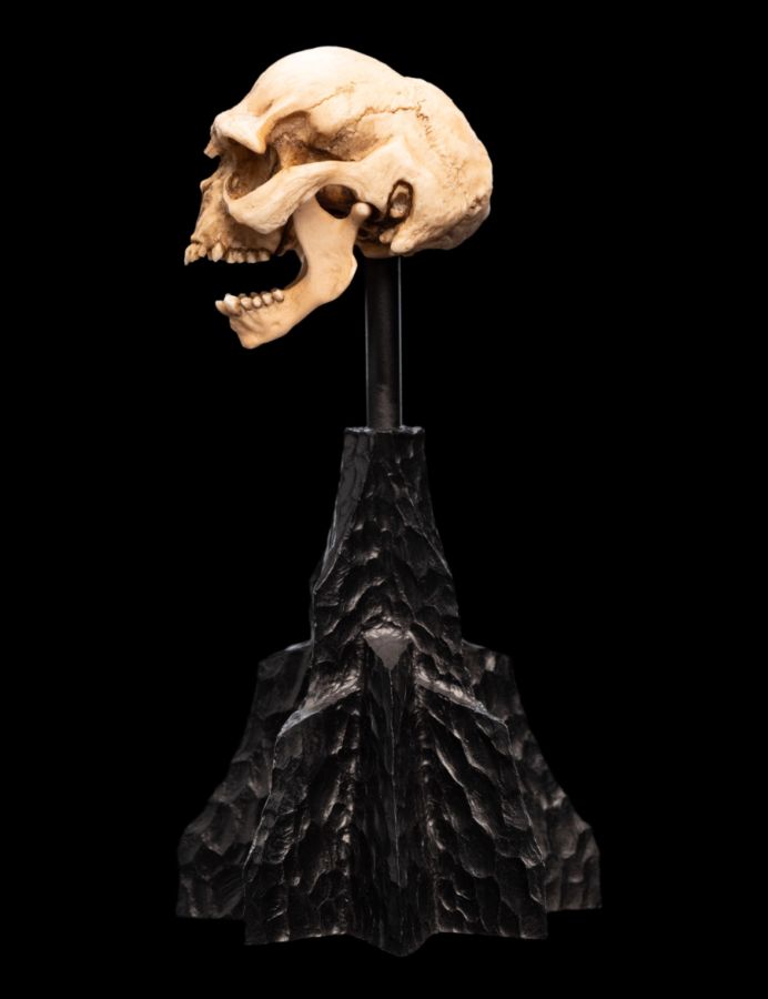 Image Pop Weasel - Image 2 of The Lord of the Rings - Skull of a Moria Orc Miniature Skull - Weta - Statue - Image - Pop Weasel