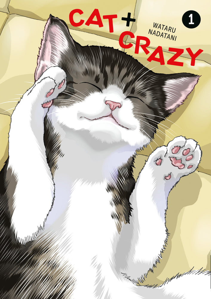 Cat + Crazy Volume 1 - Image - Books - Image - Pop Weasel