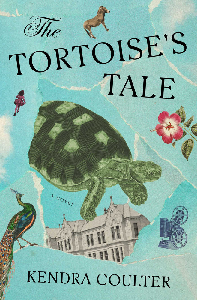 The Tortoise's Tale A Novel image -  - Image - Pop Weasel