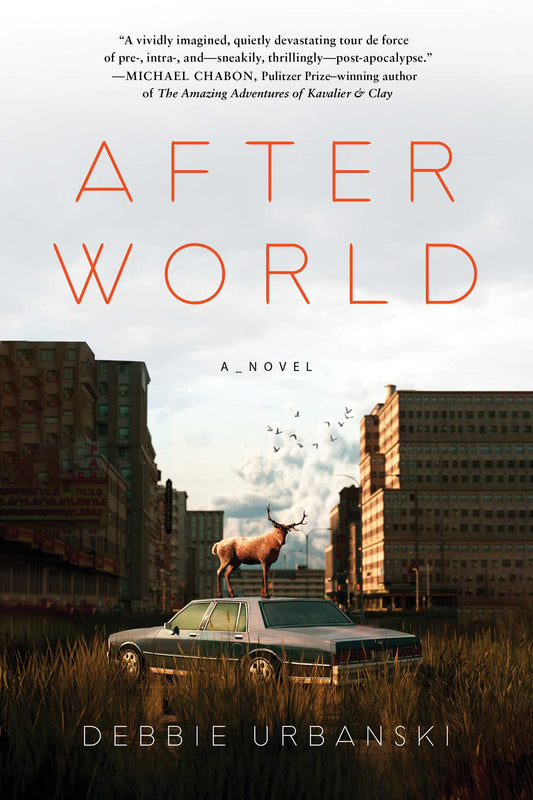 After World A Novel