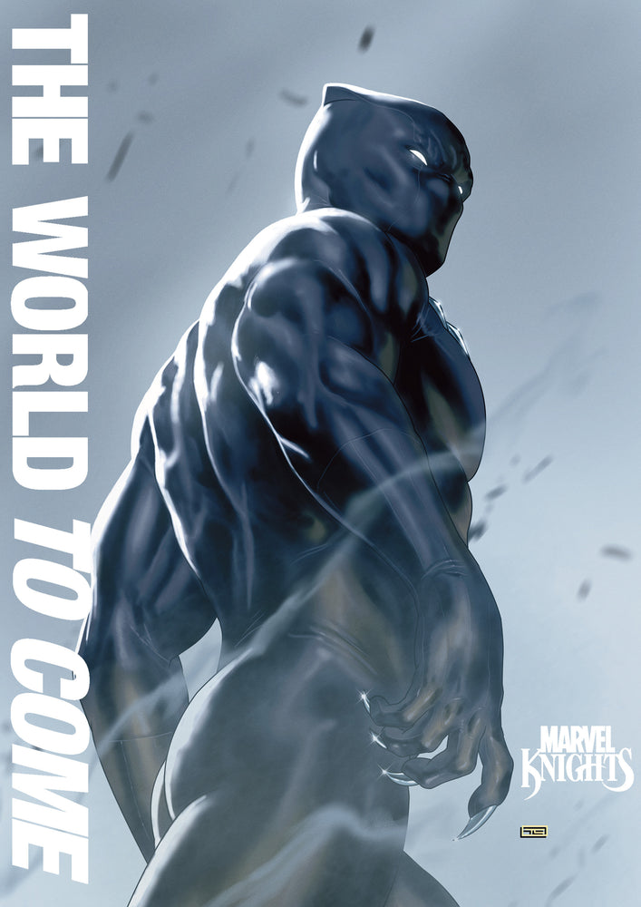 MARVEL KNIGHTS: THE WORLD TO COME - Comics - Image - Pop Weasel