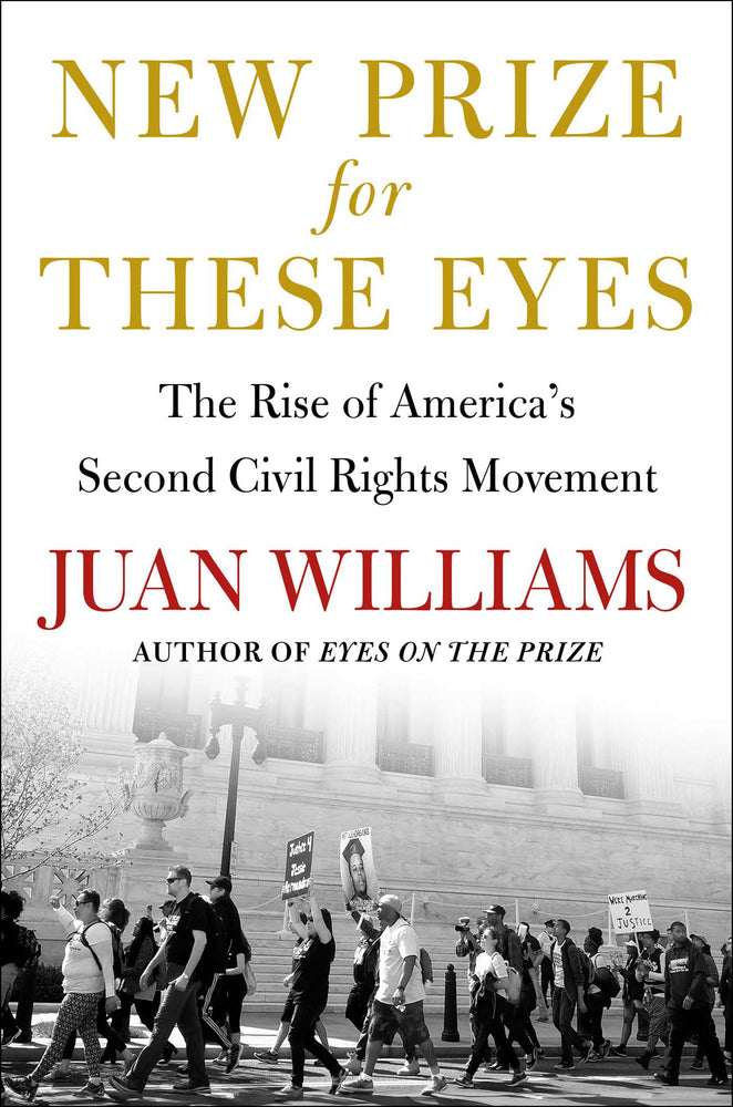 New Prize for These Eyes The Rise of America's Second Civil Rights Movement image - Non-Fiction - Image - Pop Weasel