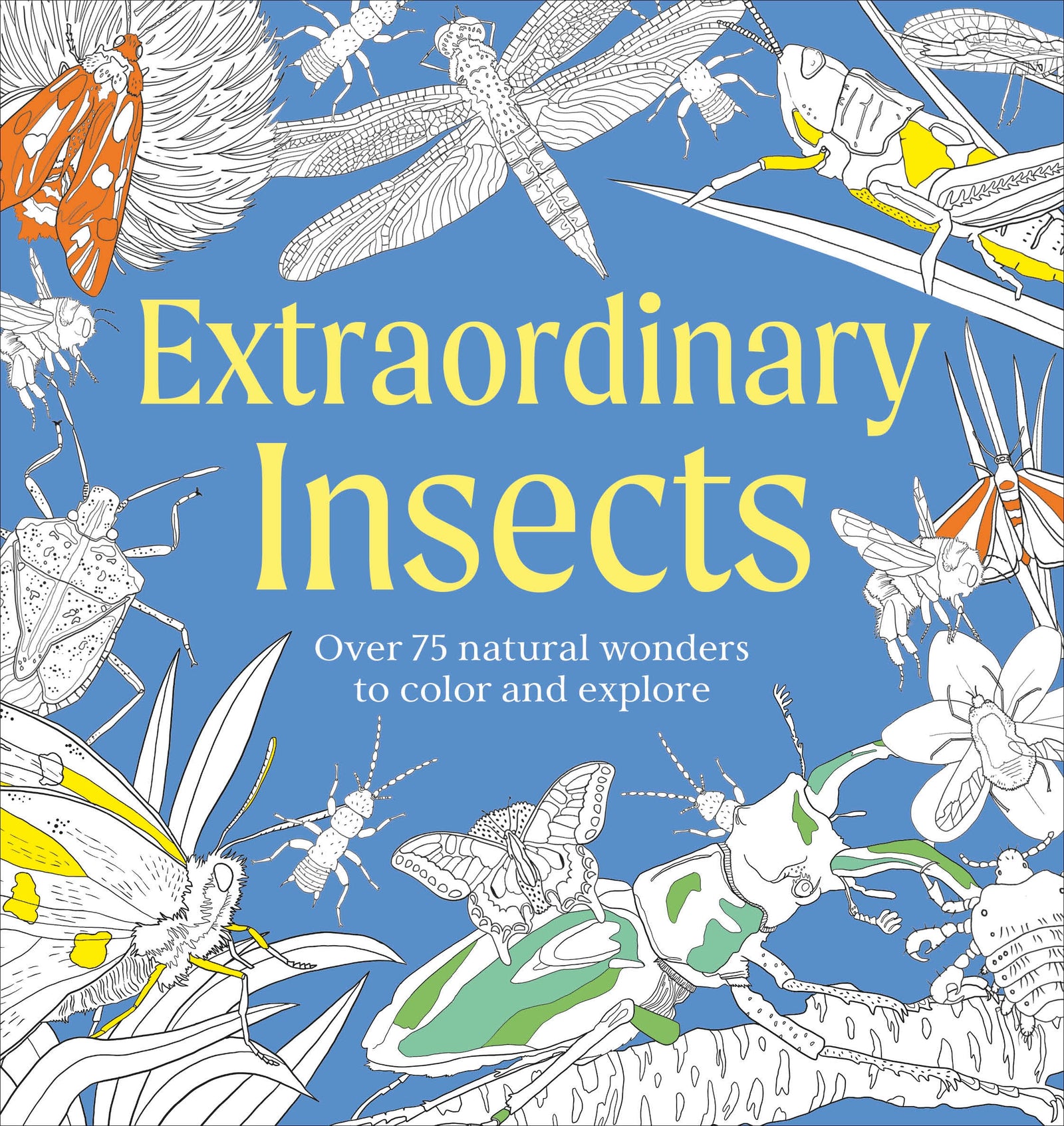 Extraordinary Insects Coloring Book | Colouring NZ