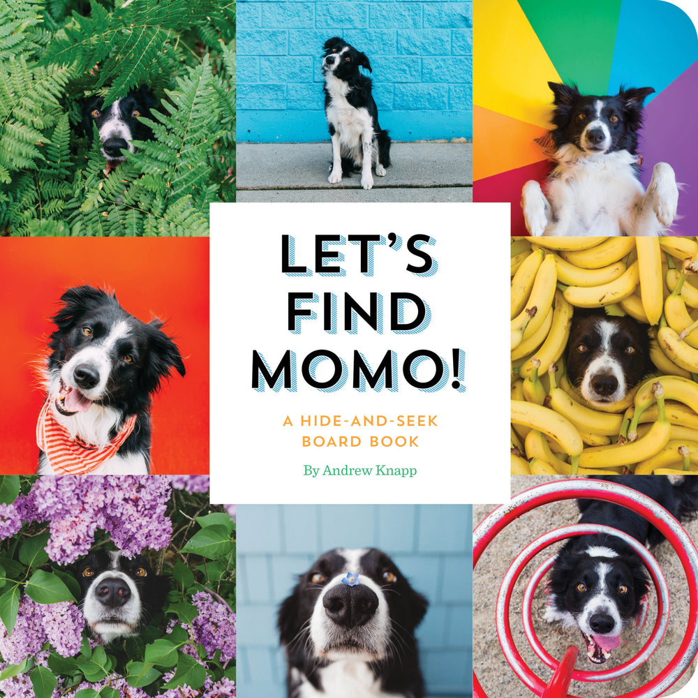 Let's Find Momo! image - Books - Image - Pop Weasel