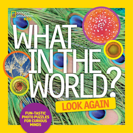 What in the World: Look Again | Hardcover image