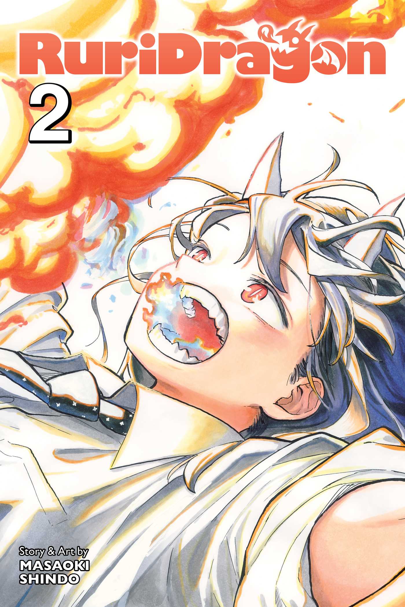 RuriDragon, Vol. 2 image