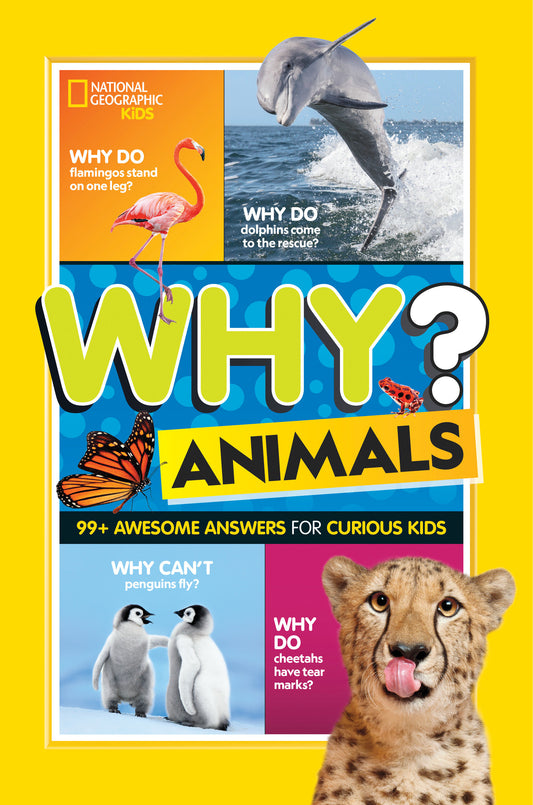 Why? Animals | Hardcover image