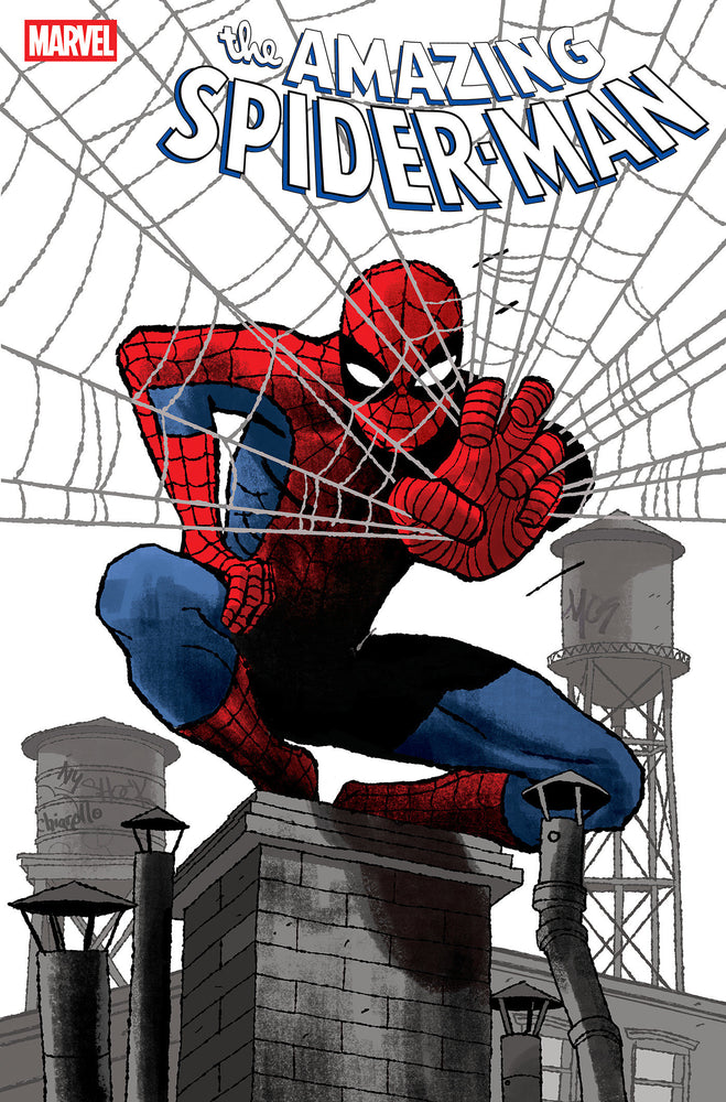 AMAZING SPIDER-MAN - Comics - Image - Pop Weasel
