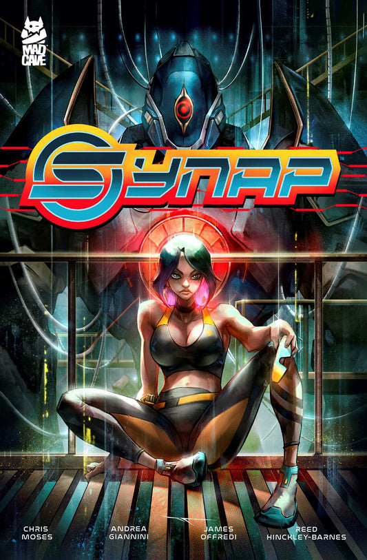 Synap image