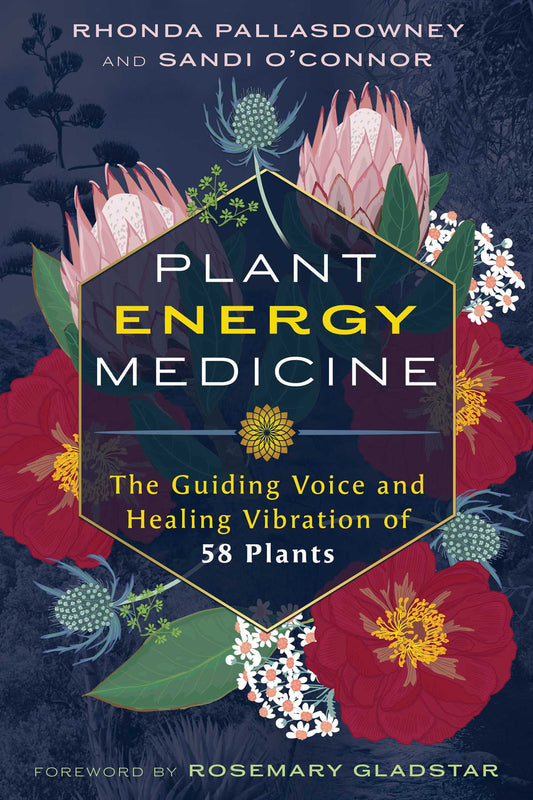 Plant Energy Medicine The Guiding Voice and Healing Vibration of 58 Plants image