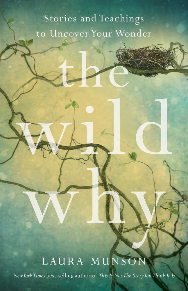 The Wild Why Stories and Teachings to Uncover Your Wonder image - Non-Fiction - Image - Pop Weasel