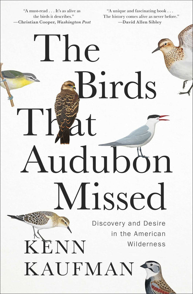 The Birds That Audubon Missed Discovery and Desire in the American Wilderness image - Non-Fiction - Image - Pop Weasel