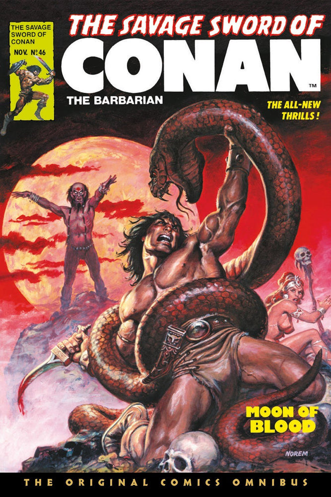 The Savage Sword of Conan The Original Comics Omnibus Vol.4 - Hard Cover - Books - Image - Pop Weasel