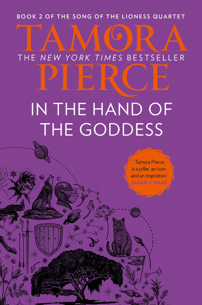 In The Hand Of The Goddess - Books - Image - Pop Weasel