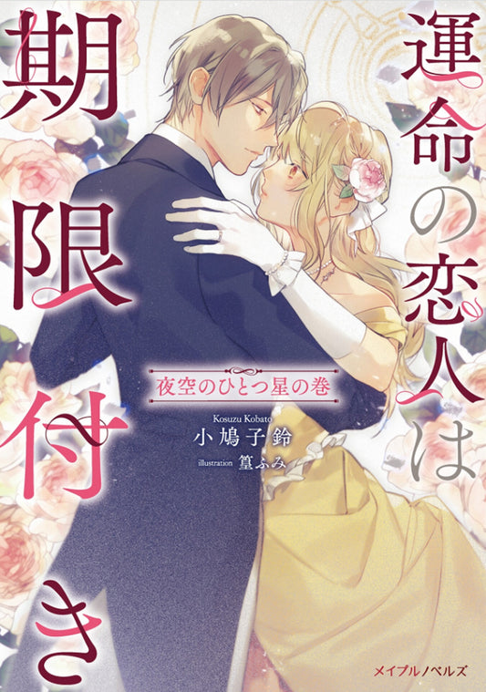 True Love Fades Away When the Contract Ends - One Star in the Night Sky (Light Novel)