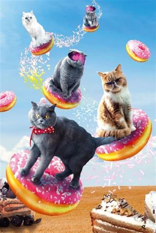 Random Galaxy - Cats Riding Donuts Poster