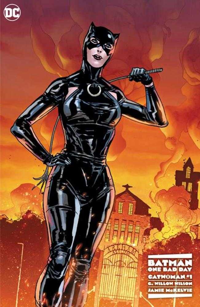 Batman One Bad Day Catwoman - Comics - Image - Pop Weasel