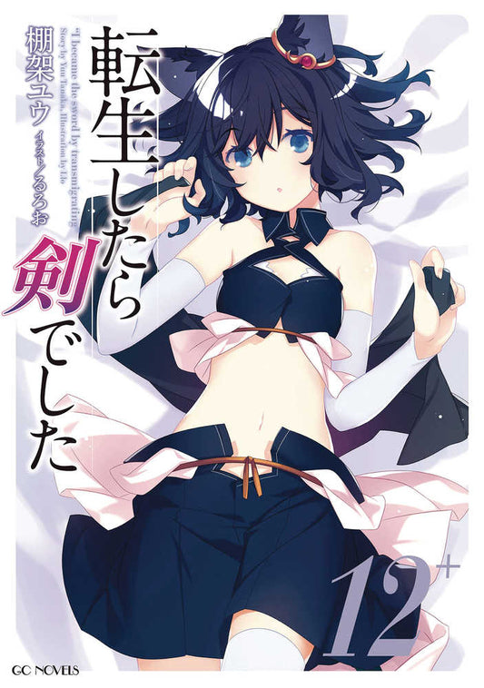 Reincarnated As A Sword Light Novel Vol. 12 - US Import