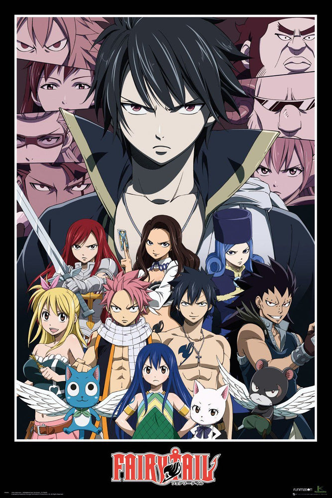 Fairy Tail - Group Poster - Posters - Image - Pop Weasel